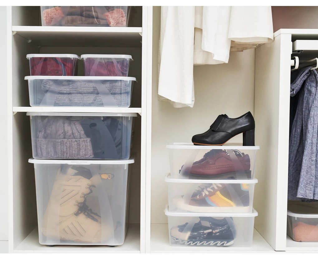 Úložný box, transparentný box s vekom, Rotho LONA, 57x39x34 (50 l)