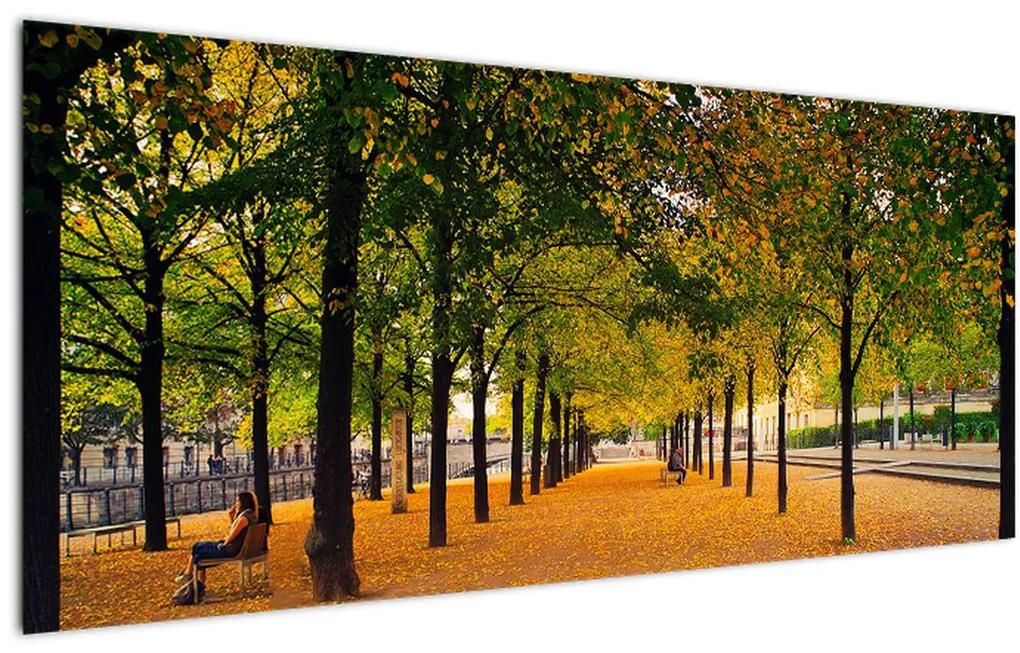 Obraz aleje jesenných stromov (120x50 cm)