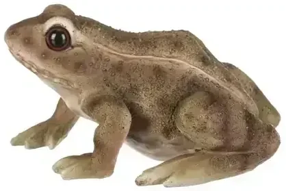Žaba z polyresinu 14cm