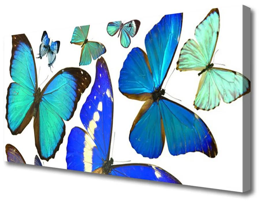 Obraz na plátne Motýle príroda 125x50 cm