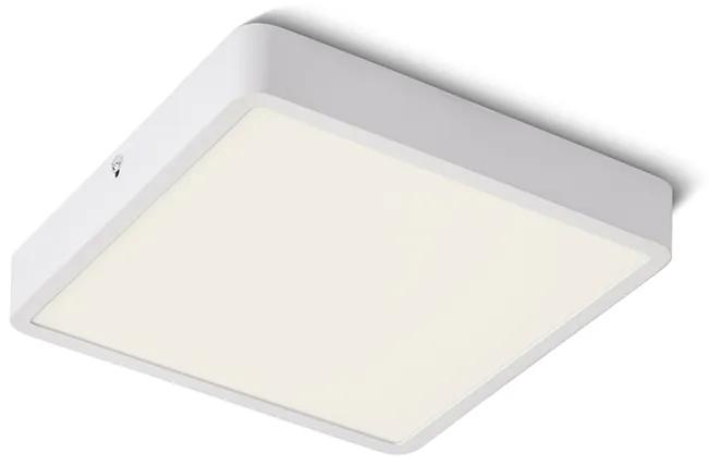 RENDL R12815 HUE LED prisadené svietidlo, technické biela