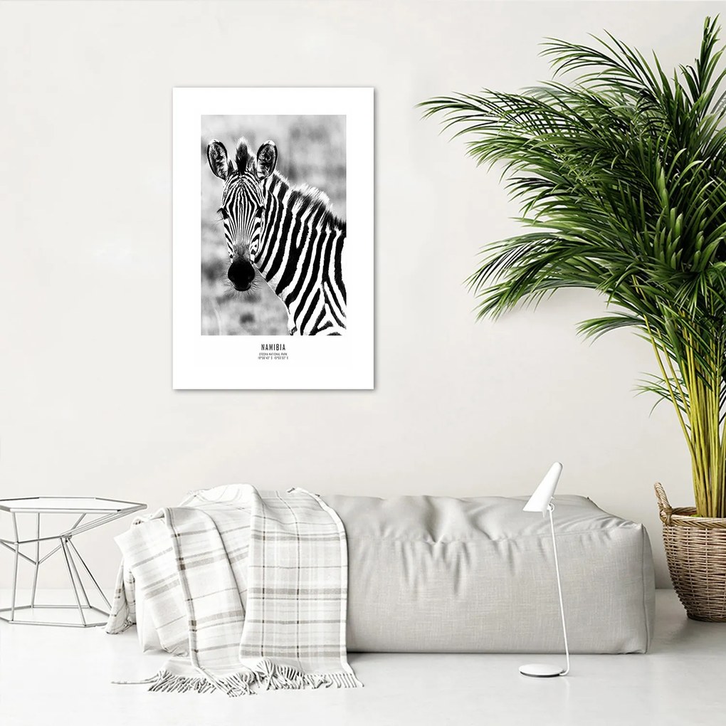 Gario Plagát Zvedavá zebra Farba rámu: Bez rámu, Rozmery: 30 x 45 cm
