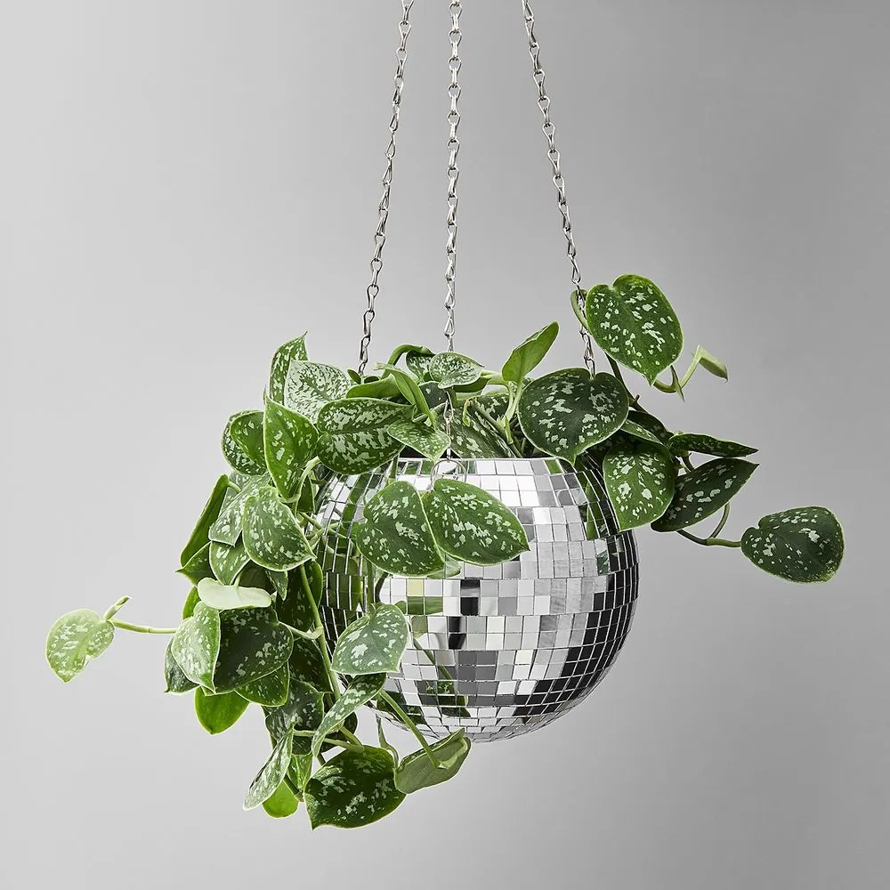DISCO Závesný kvetináč 15 cm