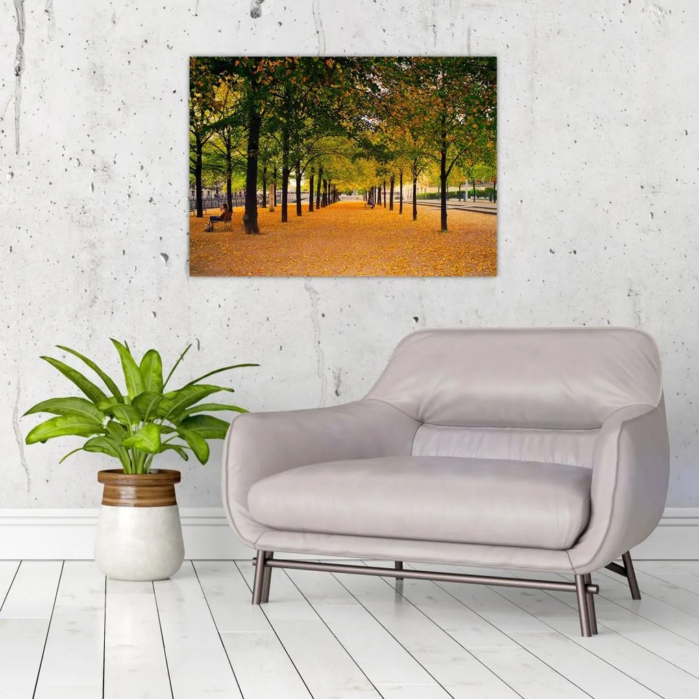 Sklenený obraz aleje jesenných stromov (70x50 cm)