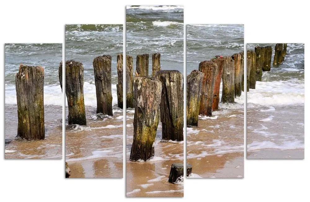 Obraz na plátně pětidílný Příroda na mořské pláži - 150x100 cm
