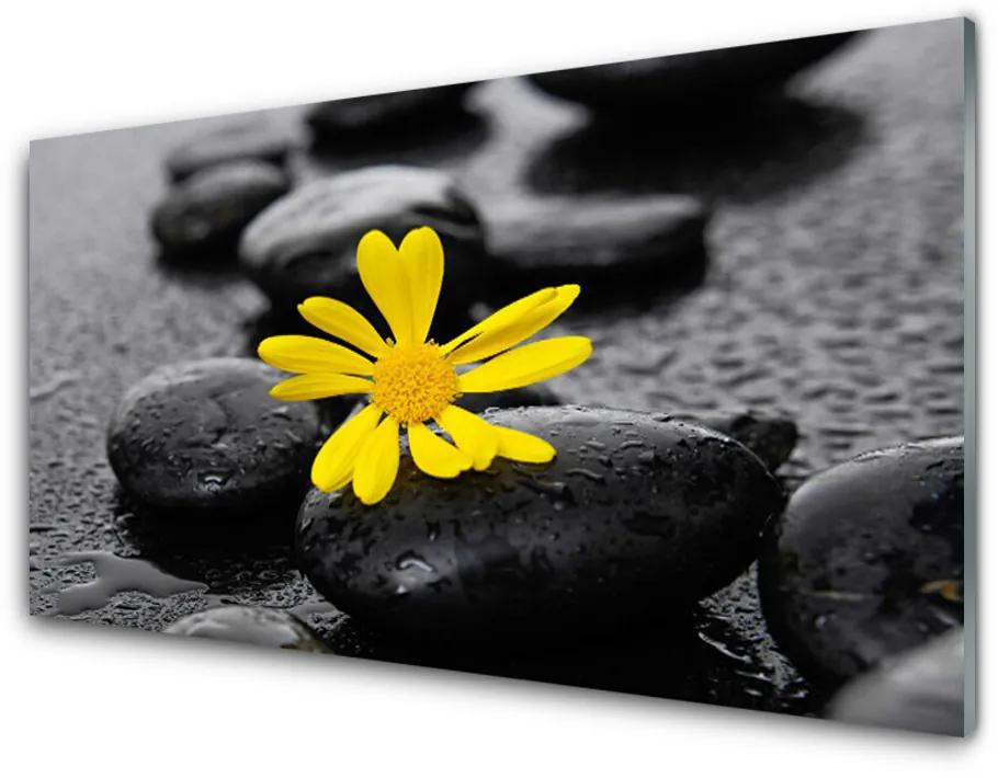 Obraz plexi Kvet kamene rastlina kúpele 140x70 cm