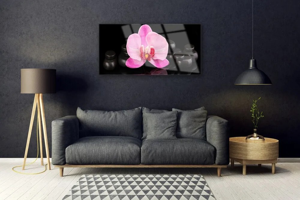 Obraz plexi Kvet kamene rastlina 100x50 cm