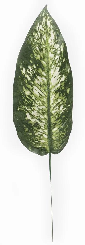 Neurčený List "difenbachia", 57 cm