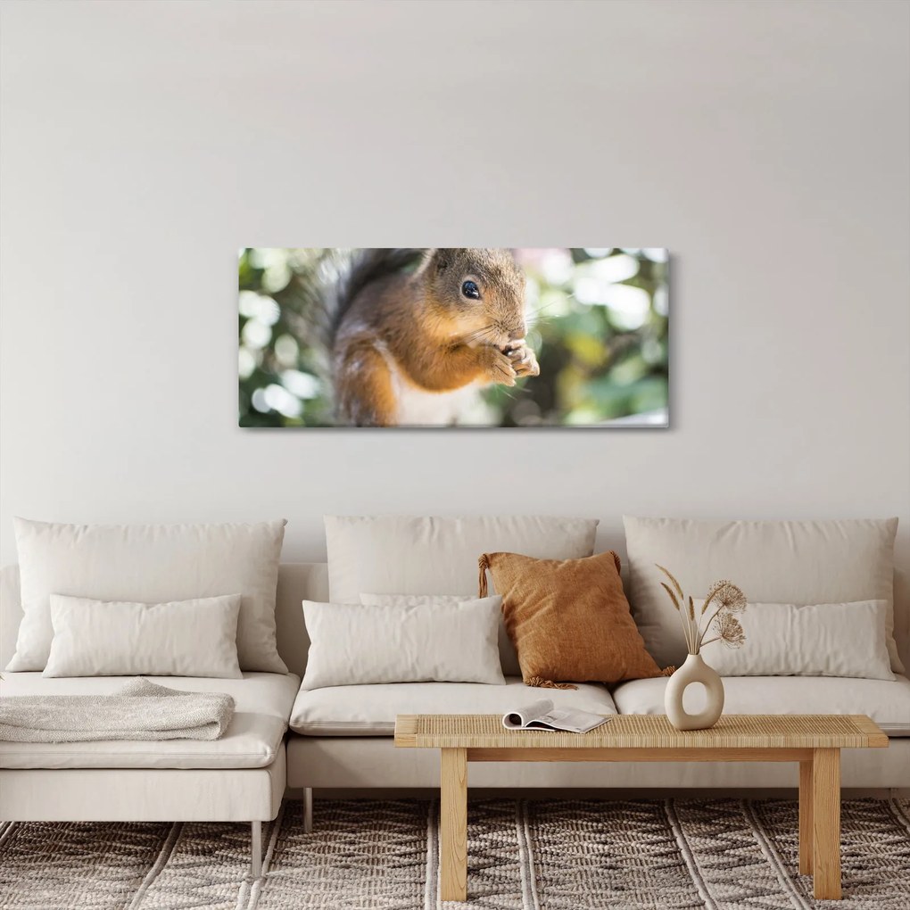 Obraz veveričky (120x50 cm)