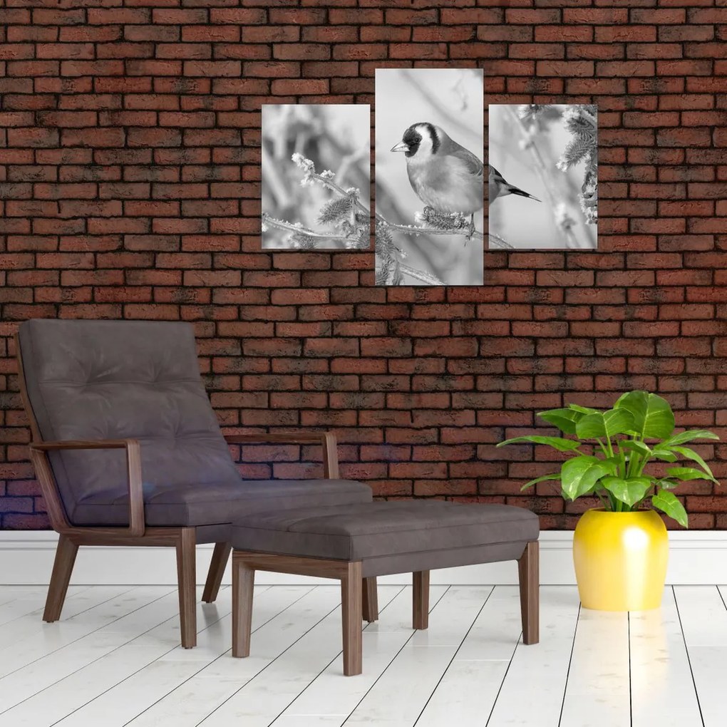 Obraz - Vtáčik v zime (90x60 cm)