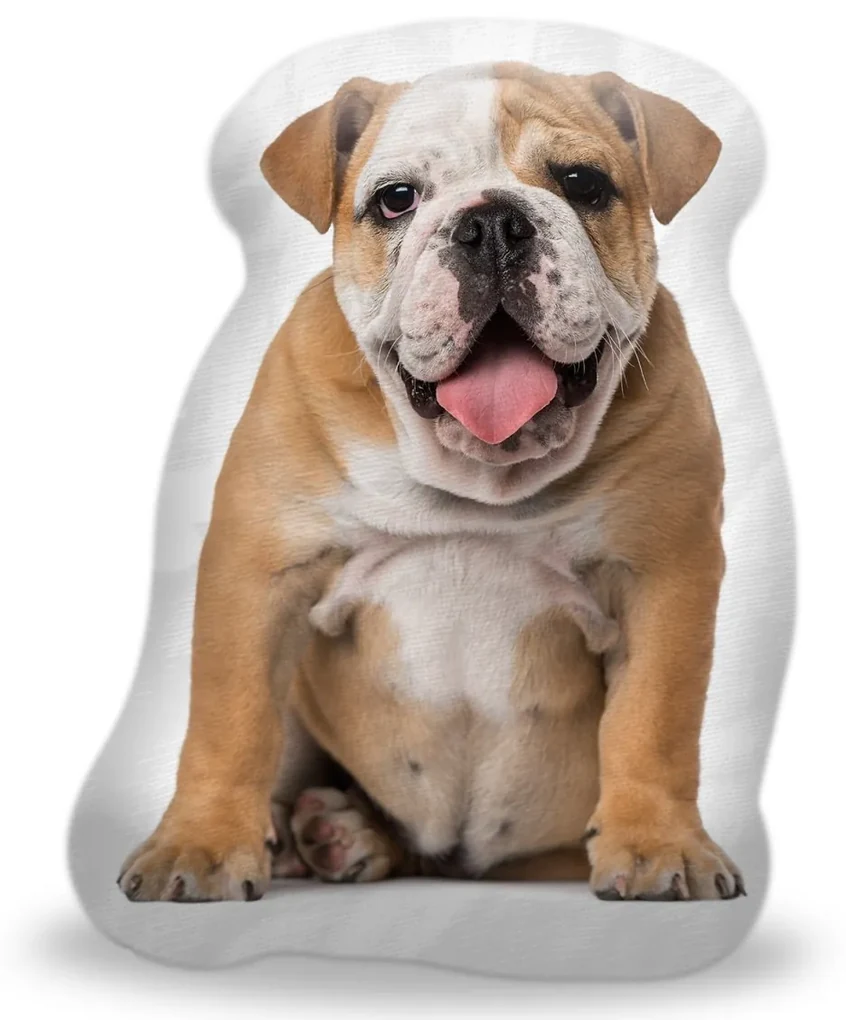 Sablio 3D vankúš Anglický buldog