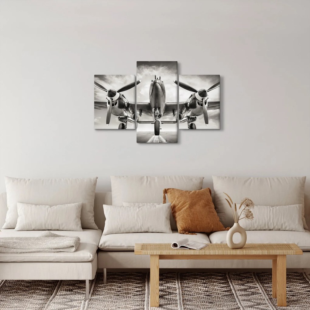 Obraz - Warbird (90x60 cm)