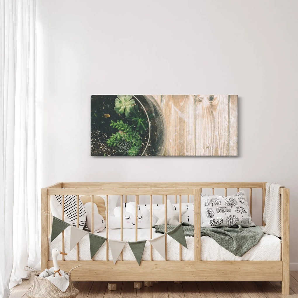 Obraz sukulentov v skle (120x50 cm)