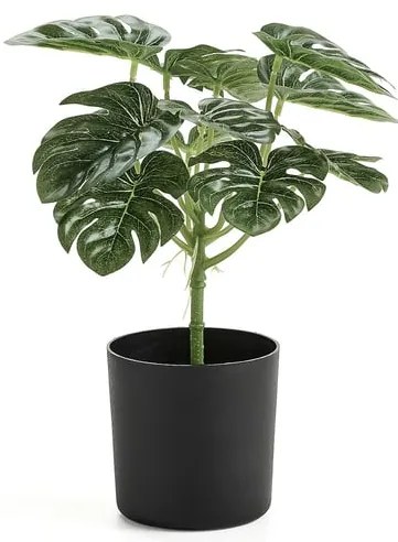 Umelá rastlina EVERGREEN, monstera, výška 250 mm, 1 ks
