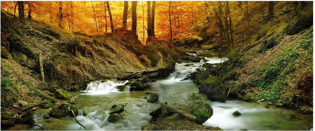Obraz - Les (120x50 cm)
