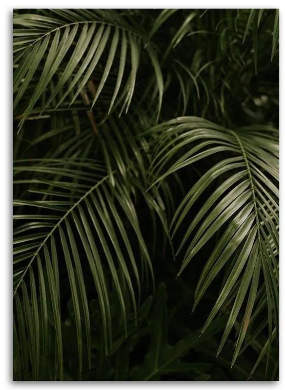 Obraz na plátně Monstera Palm Leaves Botanické - 80x120 cm
