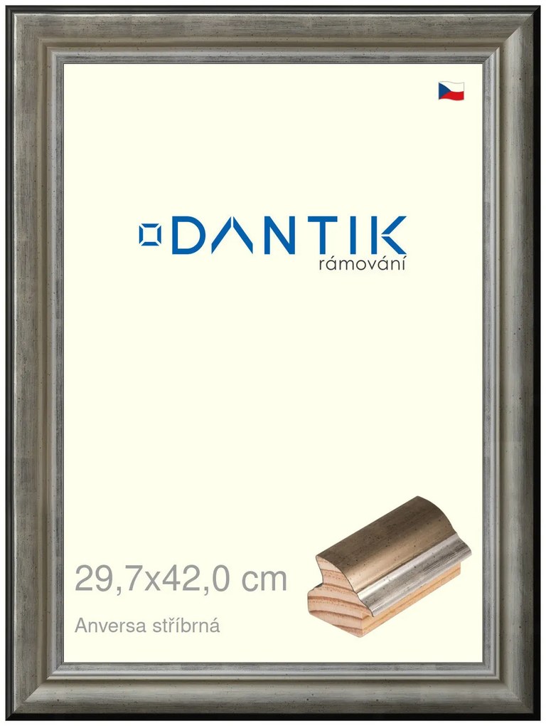 DANTIK rám na obraz 29,7x42 | ANIVERSA stříbrná (Plexi Čiré)