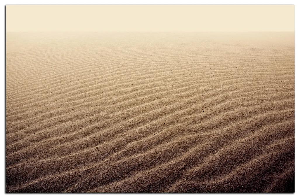 Obraz na plátne - Piesok v púšti 1127A (100x70 cm)