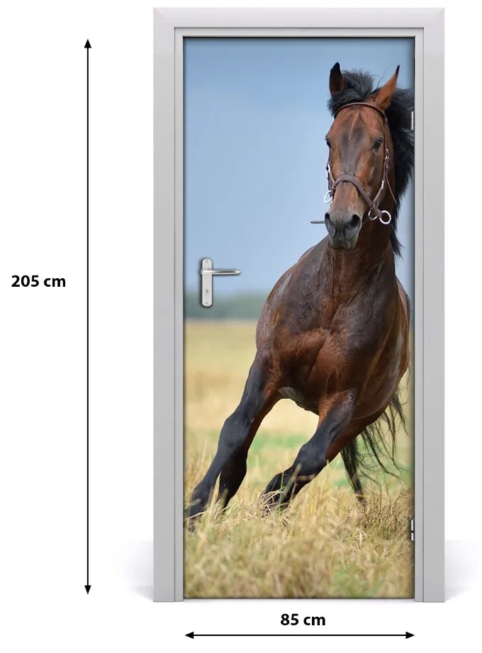 Samolepiace fototapety na dvere Kôň na poli 85x205 cm