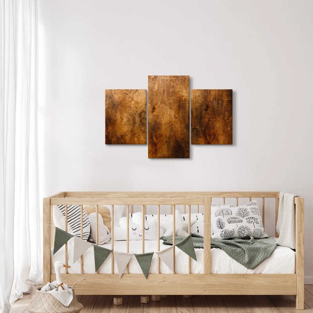 Obraz - Detail dreva (90x60 cm)
