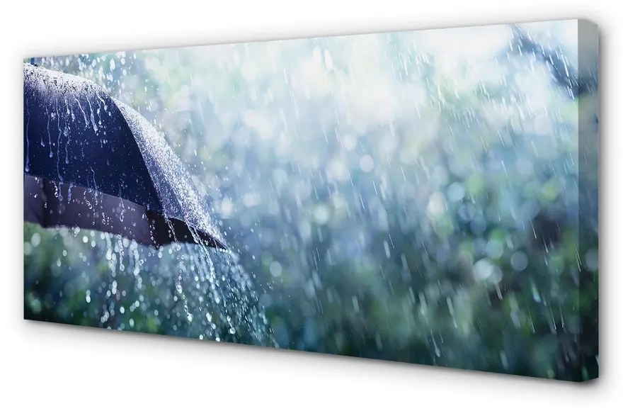 Obraz canvas Umbrella dažďovej kvapky 100x50 cm