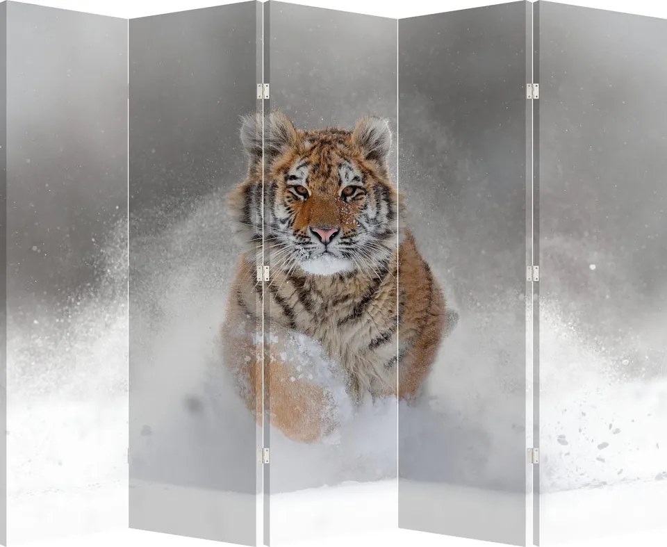 Paraván - Bežiaci tiger v snehu (210x170 cm)