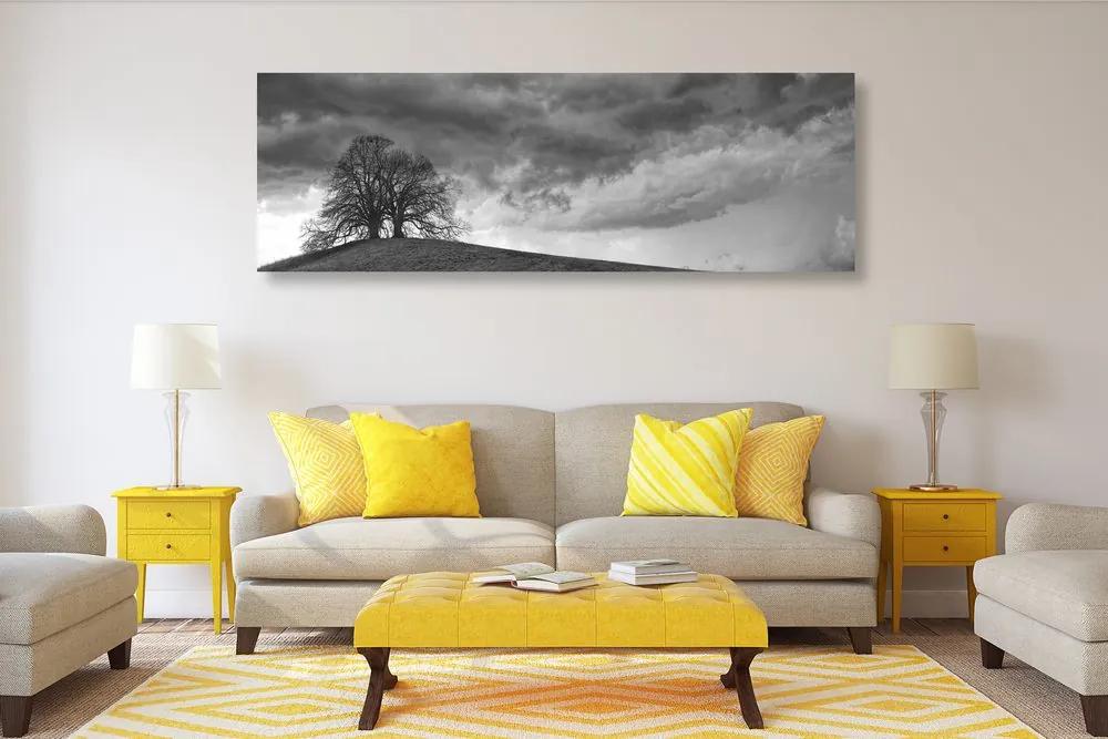 Obraz čiernobiele osamelé stromy Varianta: 120x40
