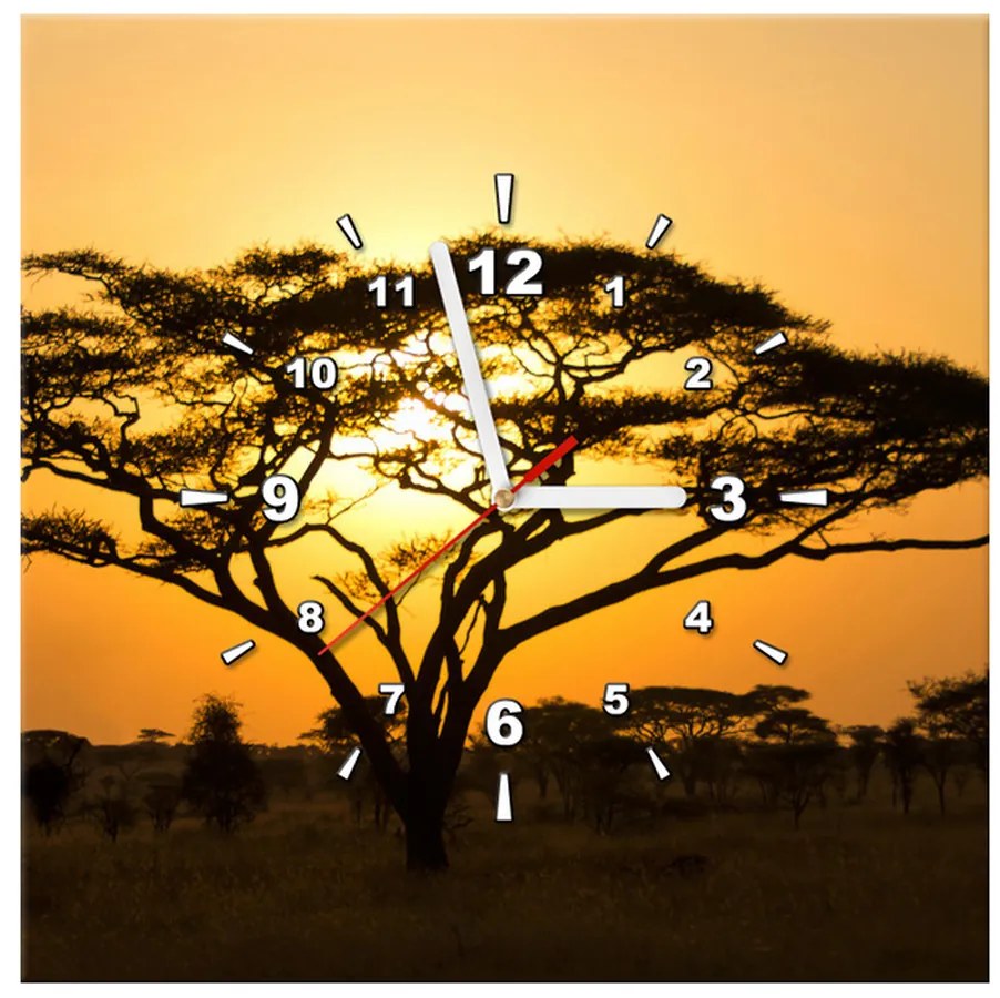 Gario Obraz s hodinami Akácia v Serengeti Rozmery: 30 x 30 cm