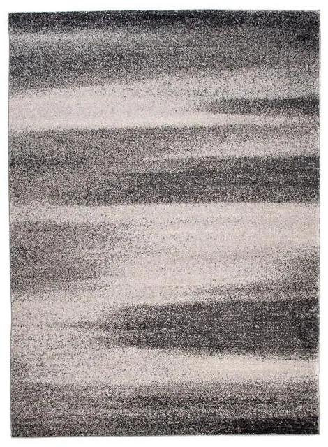 Kusový koberec Adonis sivý 160x220cm