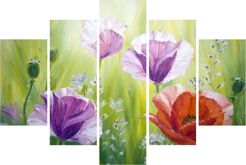 Obraz - Vlčie maky (150x105 cm)