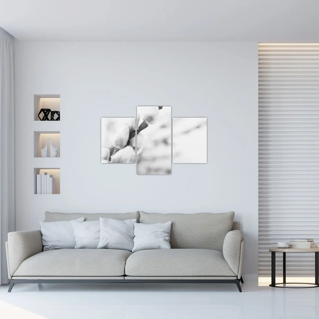 Obraz - Začiatok jari (90x60 cm)