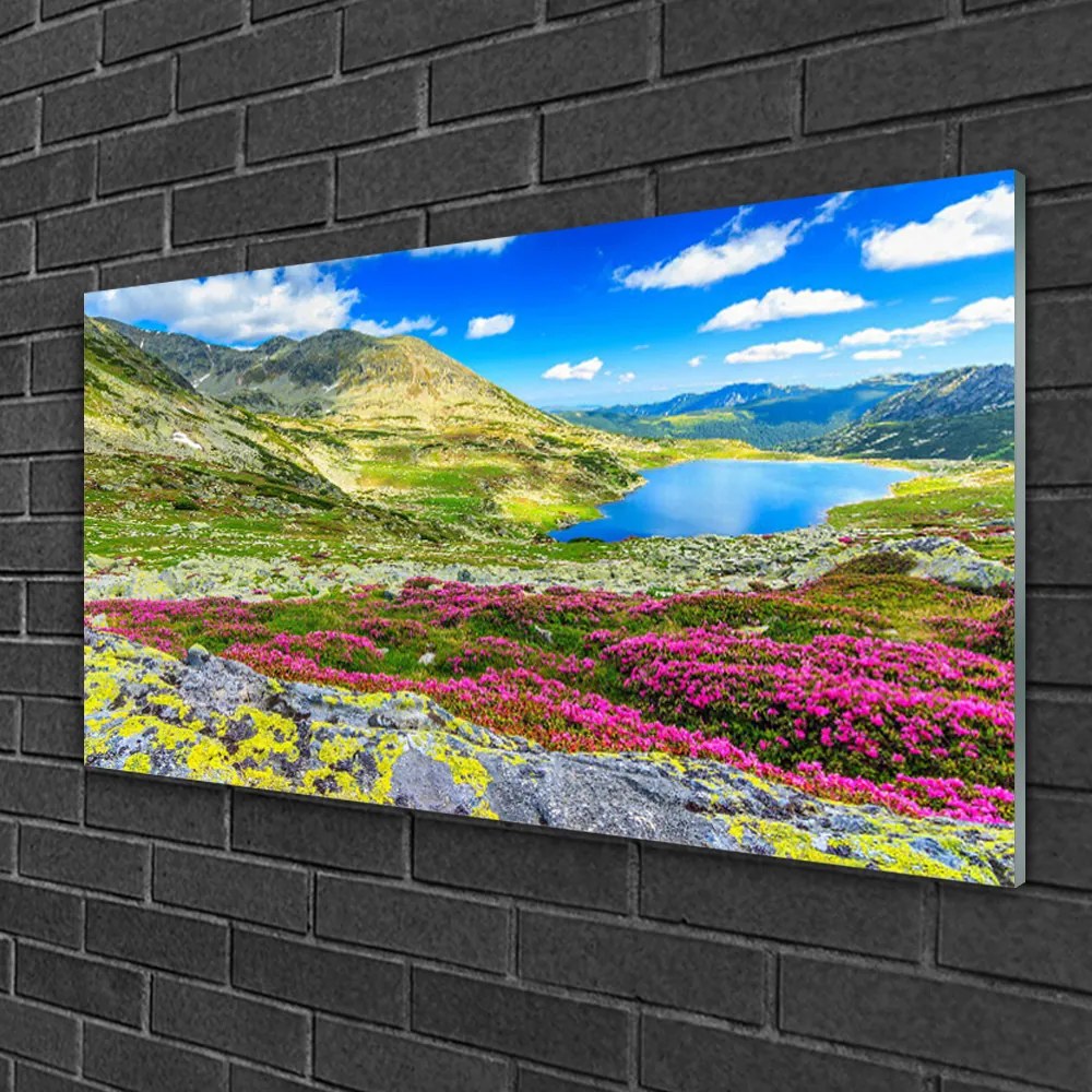 Obraz na skle Hora záliv lúka príroda 120x60 cm