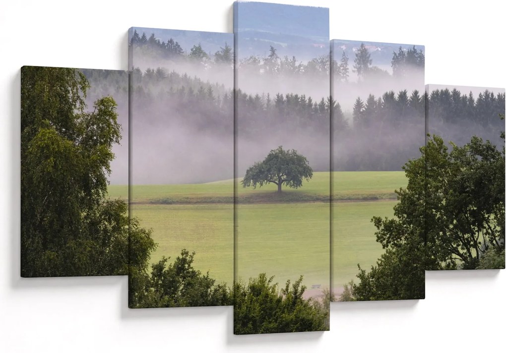 Obraz lúky so stromom (150x105 cm)