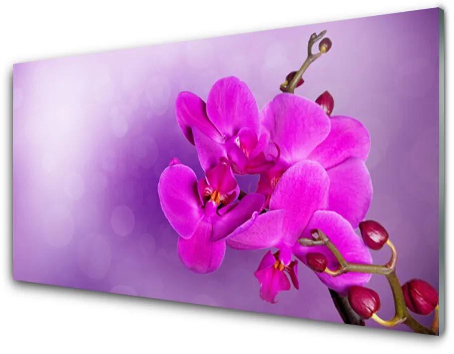 Sklenený obklad Do kuchyne Kvety plátky orchidea 120x60 cm