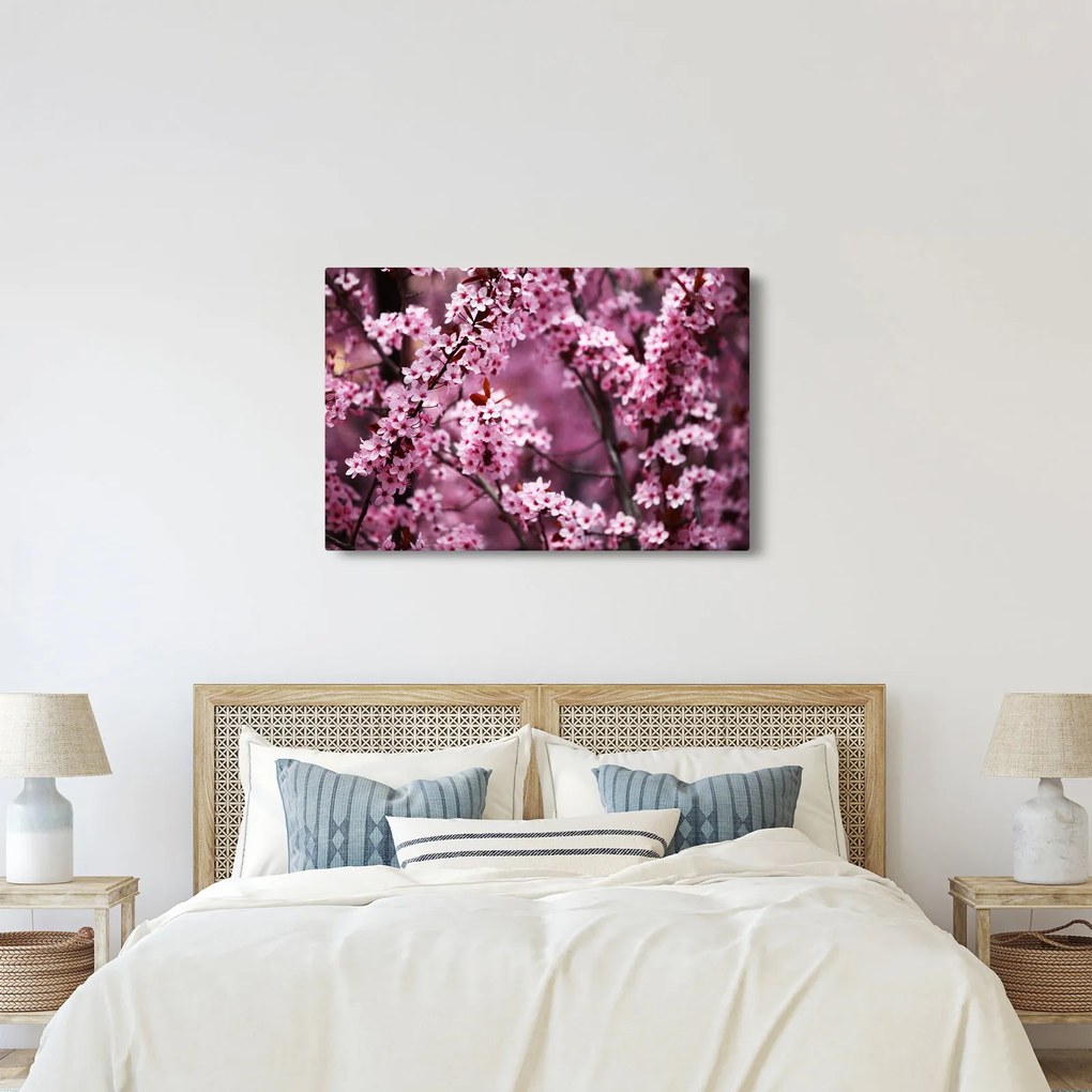 Obraz - Ružová sakura (90x60 cm)