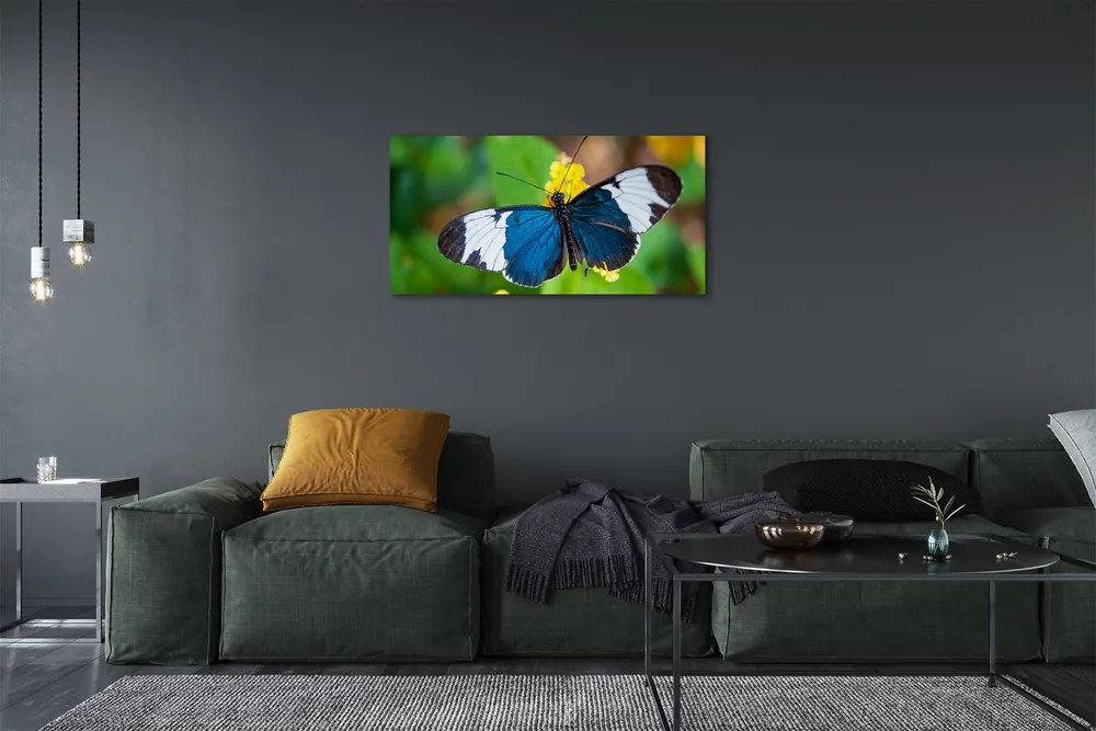 Obraz na plátne Farebný motýľ na kvety 140x70 cm