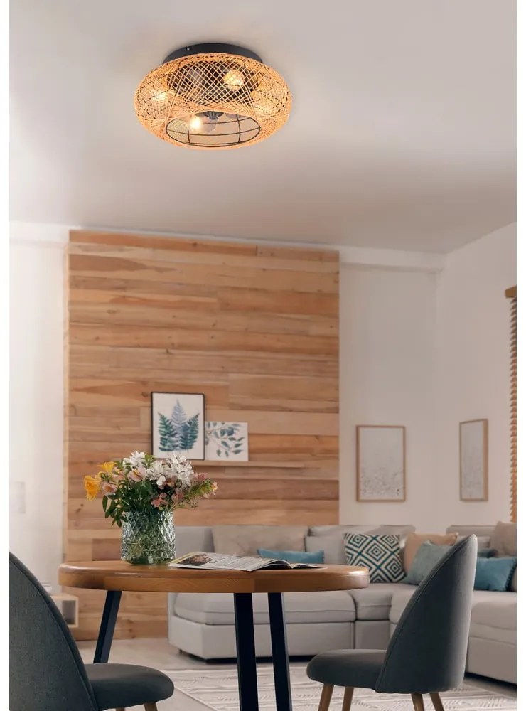 Hnedé stropné svietidlo na diaľkové ovládanie/s ventilátorom Lillesand – Trio