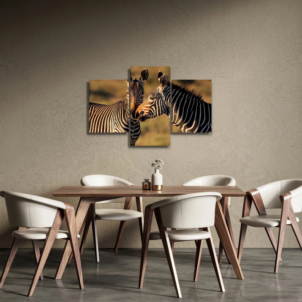 Obraz - Dve zebry (90x60 cm)