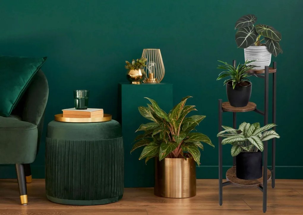 Stojan na kvety Tretorri rustikálny hnedý/čierny