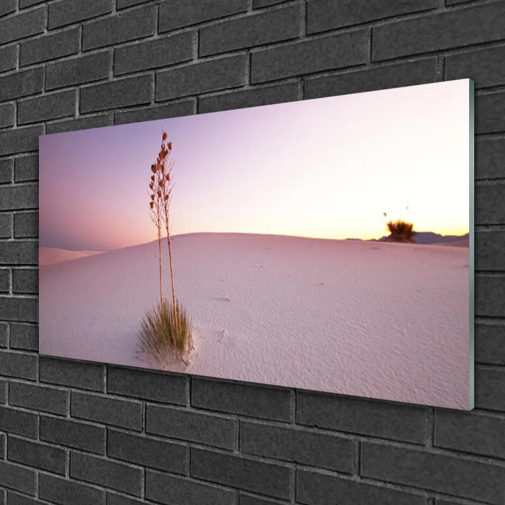 Skleneny obraz Púšť písek krajina 125x50 cm