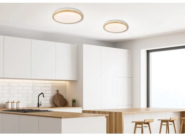 LED Stropné svietidlo GANDAVA LED/24W/230V