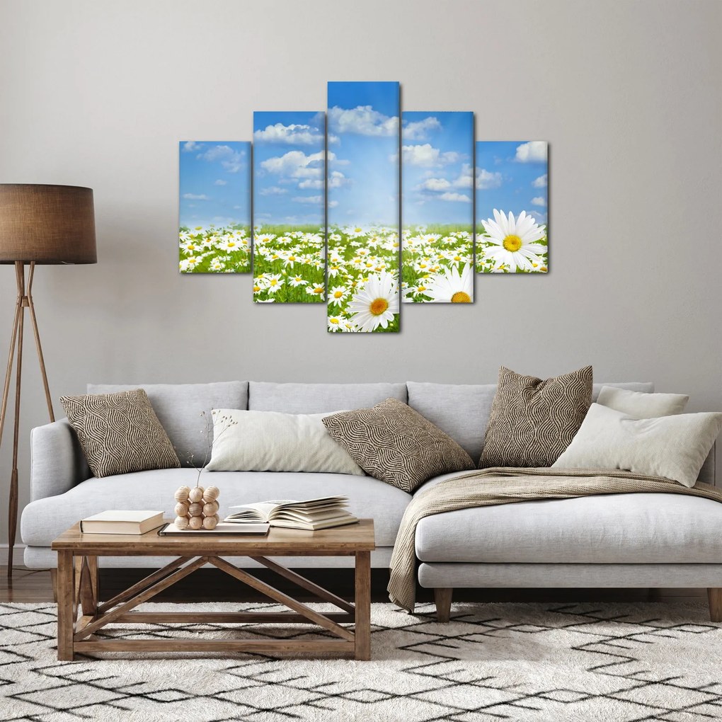 Obraz rozkvitnutej lúky s margarétkami (150x105 cm)