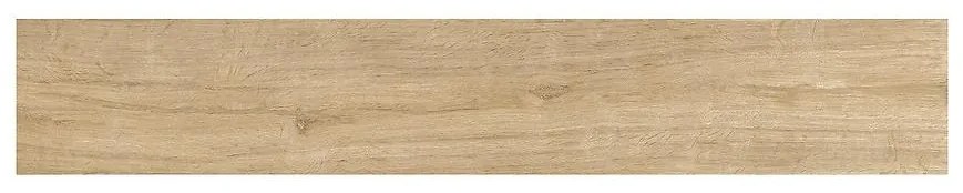 Dlažba Porto marron 19,5/119,5