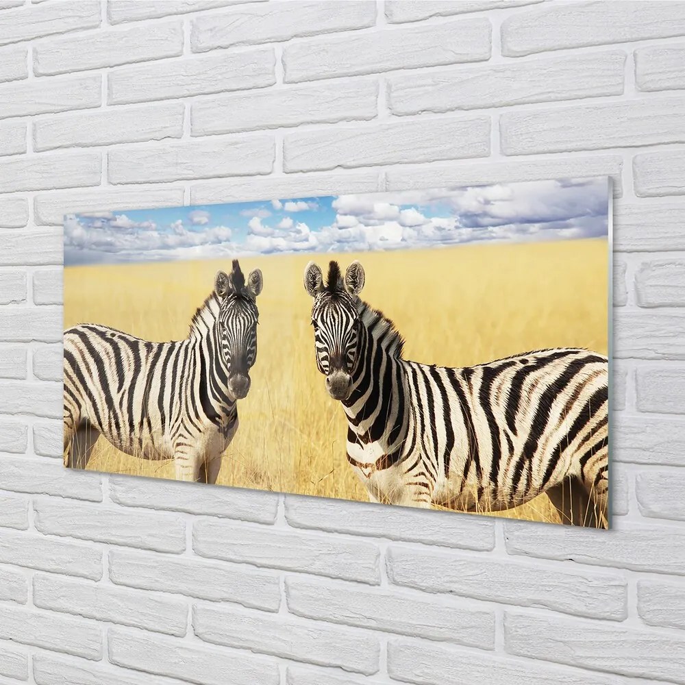 Sklenený obraz zebra box 100x50 cm