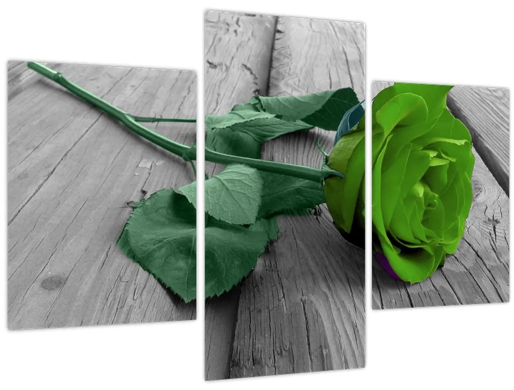 Obraz - Zelená ruža (90x60 cm)