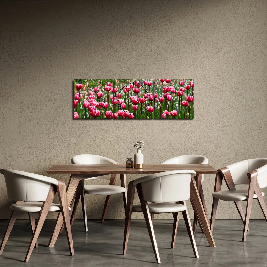 Obraz tulipánov (s hodinami) (90x30 cm)