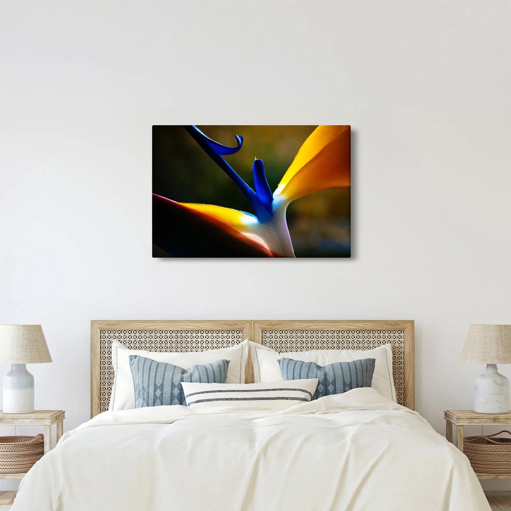 Obraz - Exotický kvet (90x60 cm)