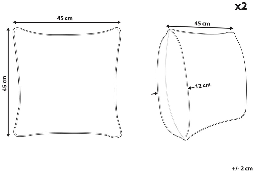 Sada 2 zamatových vankúšov geometrického vzoru 45 x 45 cm sivá ASPIDISTRA Beliani