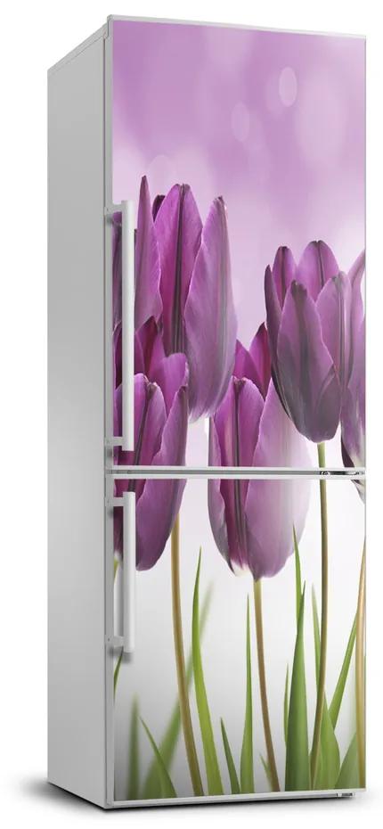 Nálepka fototapeta Fialové tulipány FridgeStick-70x190-f-52340543