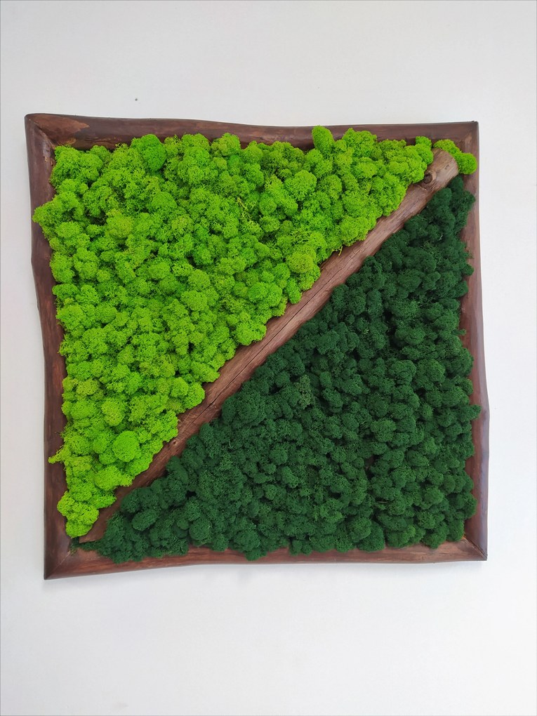 Dvojfarebný machový obraz 62cm x 62cm